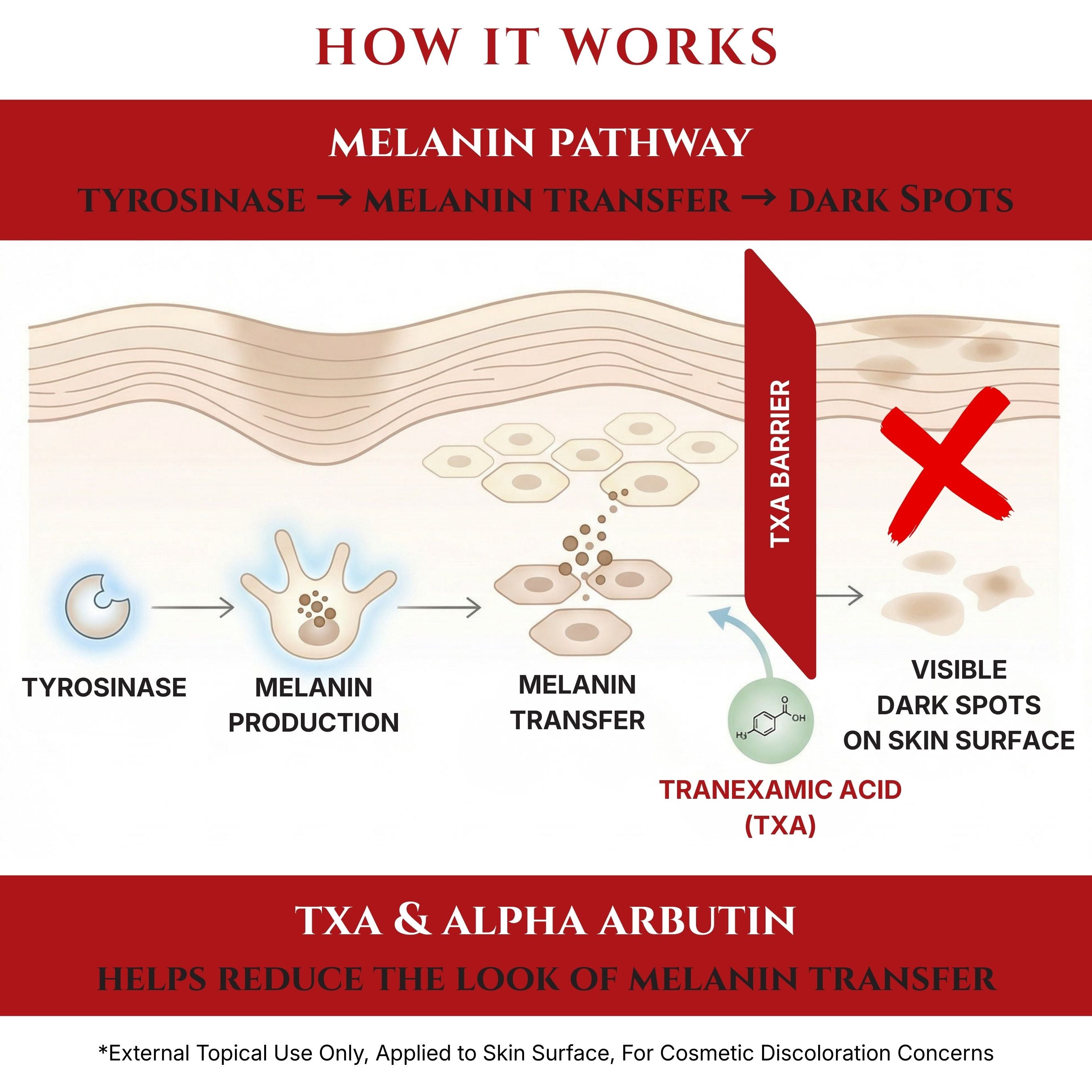Tranexamic Acid TXA 4% & Niacinamide 10% Serum