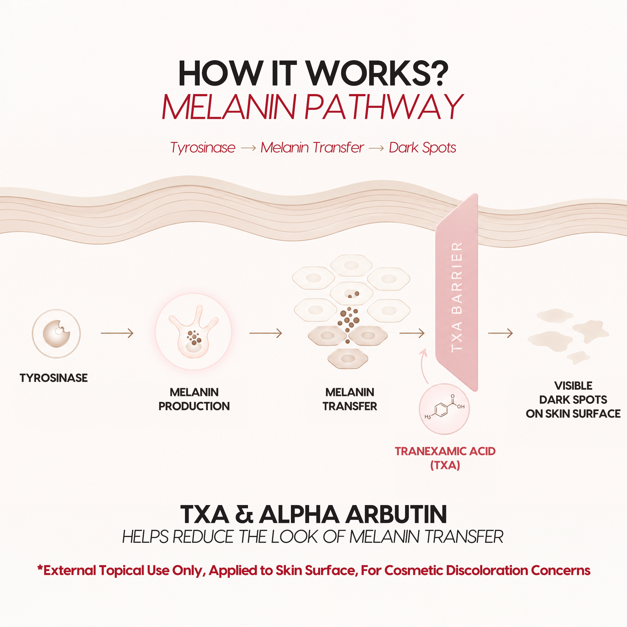 Tranexamic Acid TXA 4% & Niacinamide 10% Serum